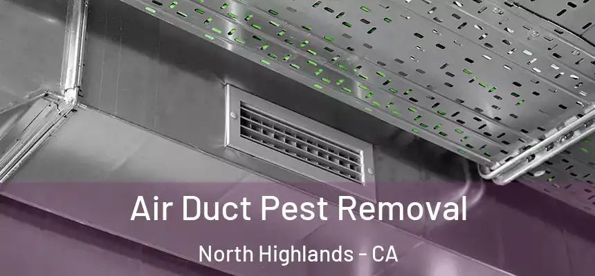 Air Duct Pest Removal North Highlands - CA