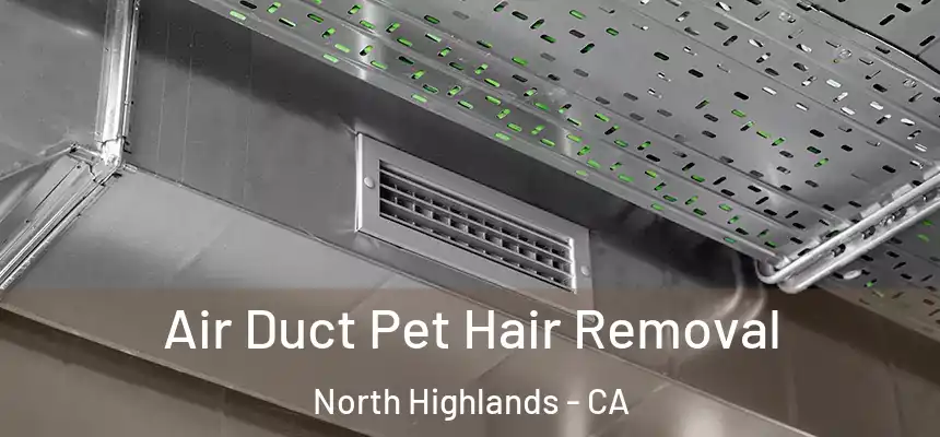  Air Duct Pet Hair Removal North Highlands - CA