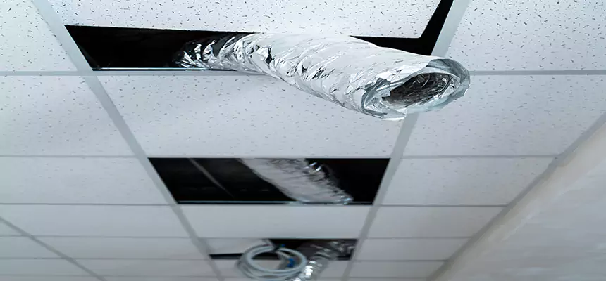 Affordable HVAC Sanitizing After Pest Removal in North Highlands