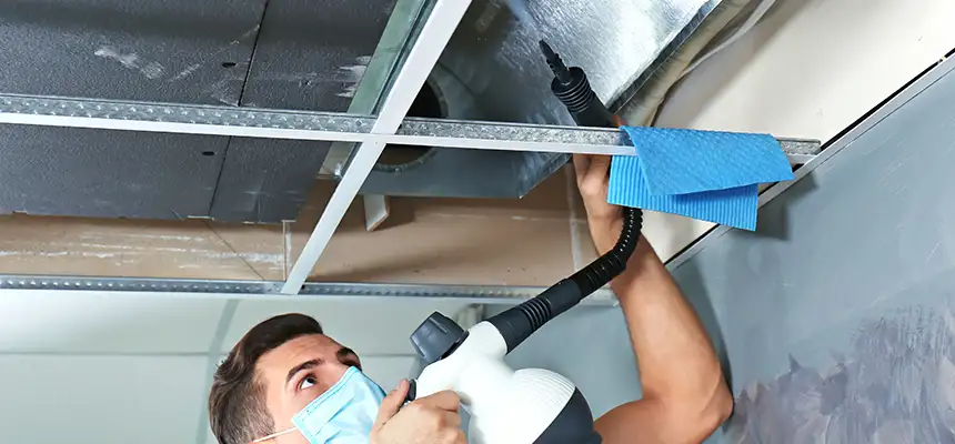 Our Air Duct Rodent Removal Services in North Highlands, CA
