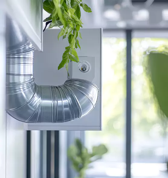 Professional Eco-Safe Dryer Vent Cleaning in North Highlands, CA