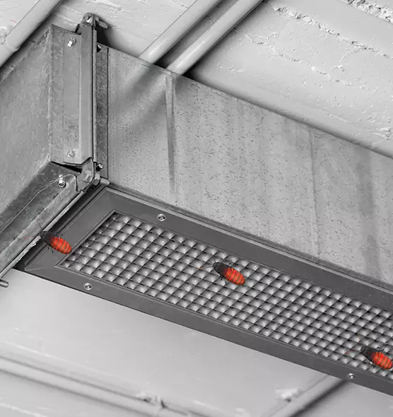 Affordable Insect Removal from Air Ducts in North Highlands, CA
