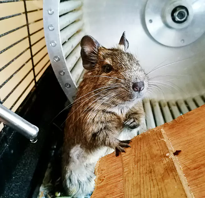 Why Homeowners & Businesses Trust Us North Highlands, CA