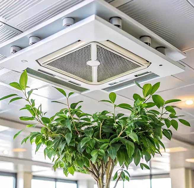 Why Homeowners & Businesses Trust Us in North Highlands, CA?